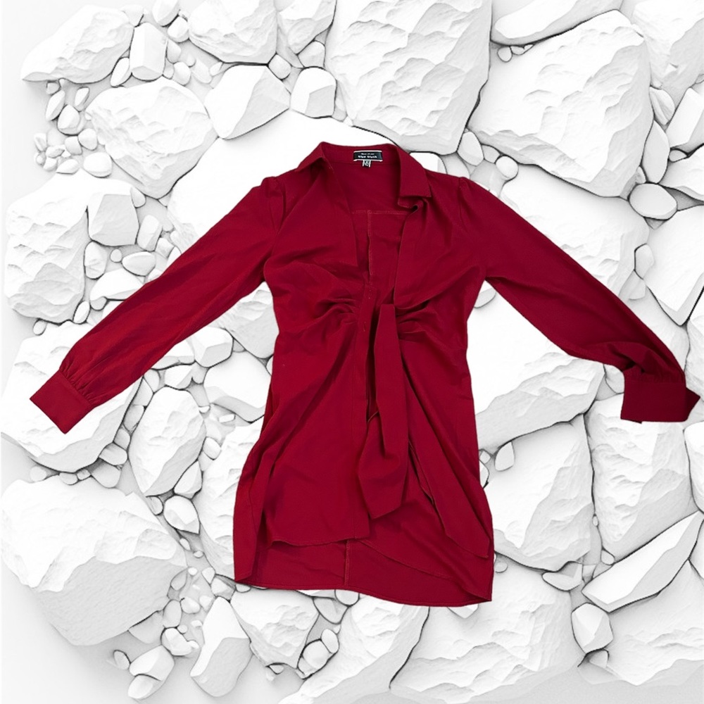 Burgundy Mini Button down dress